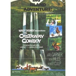 Um Aventureiro no Hawaí aka Um Cowboy no Havaí