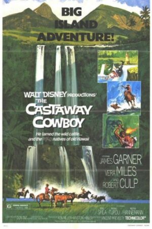 Um Aventureiro no Hawaí aka Um Cowboy no Havaí