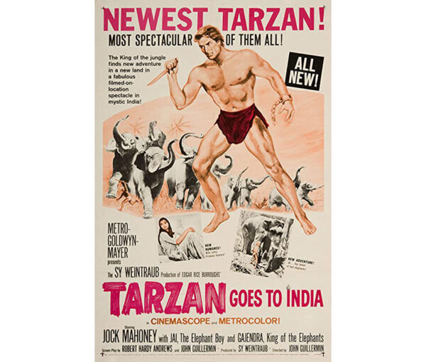Tarzã Vai à Índia