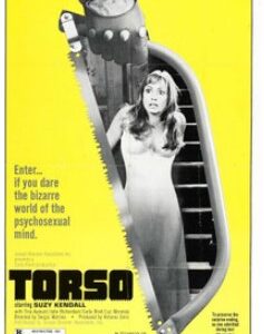 Torso