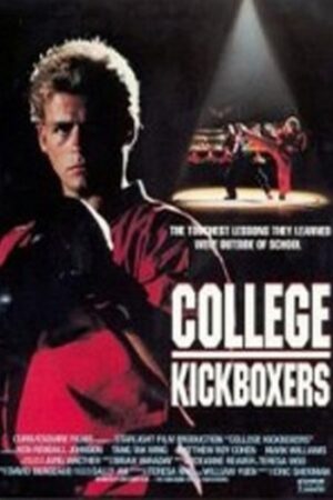 Escola de Kickboxer aka Mestre do Kickboxing