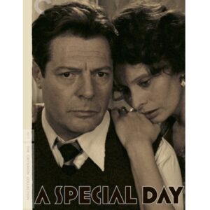 Um Dia Muito Especial