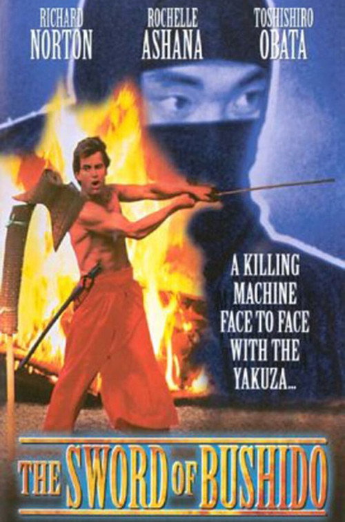 A Vingança da Espada Ninja