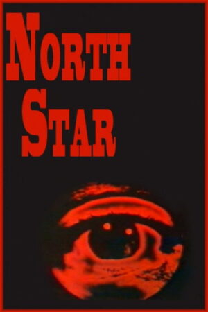 Estrela do Norte