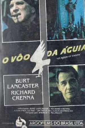 O Voo da Águia